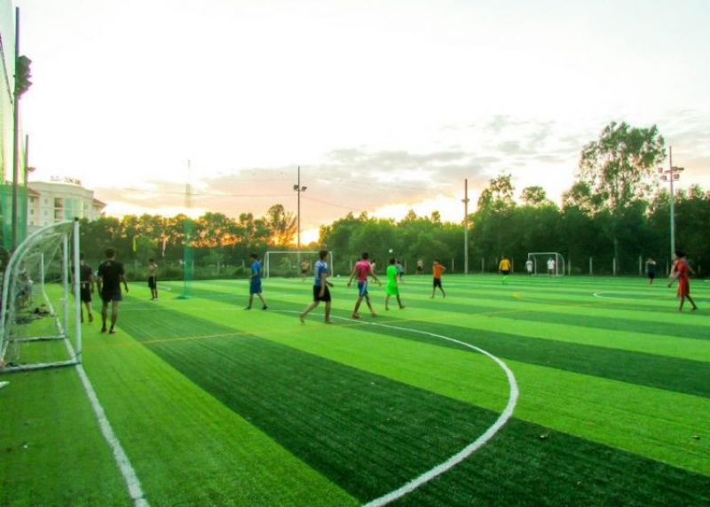 kích thước sân bóng đá ở Việt Nam