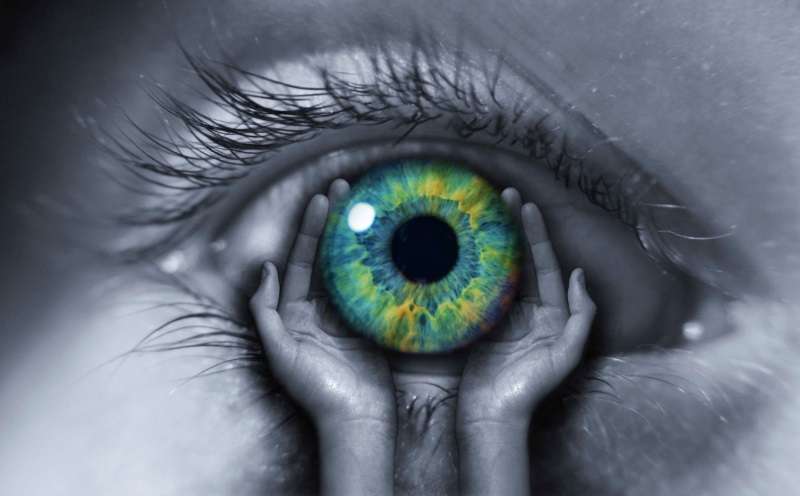 Đôi mắt là cửa sổ tâm hồn nên cần hiểu rõ và chăm sóc tốt nhất để tránh mù mắt