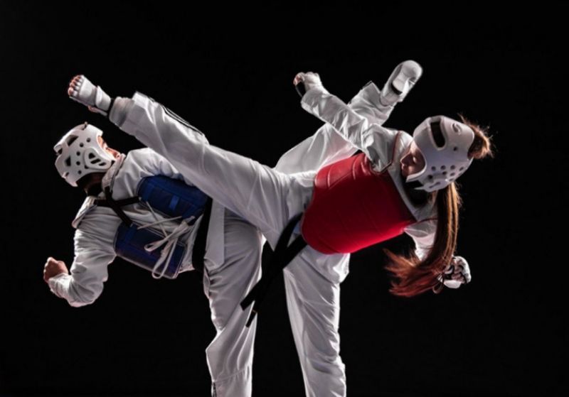 nên học Karate hay Taekwondo? Môn võ nào tốt hơn