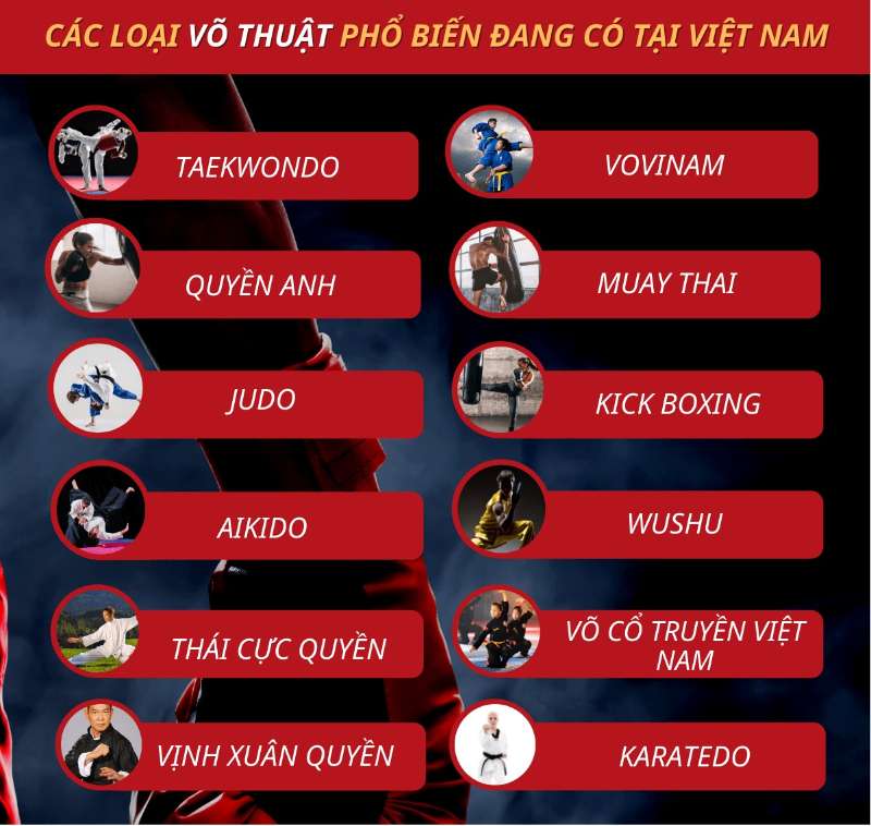 Tìm hiểu các loại võ thuật đang có tại Việt Nam chi tiết từ A-Z