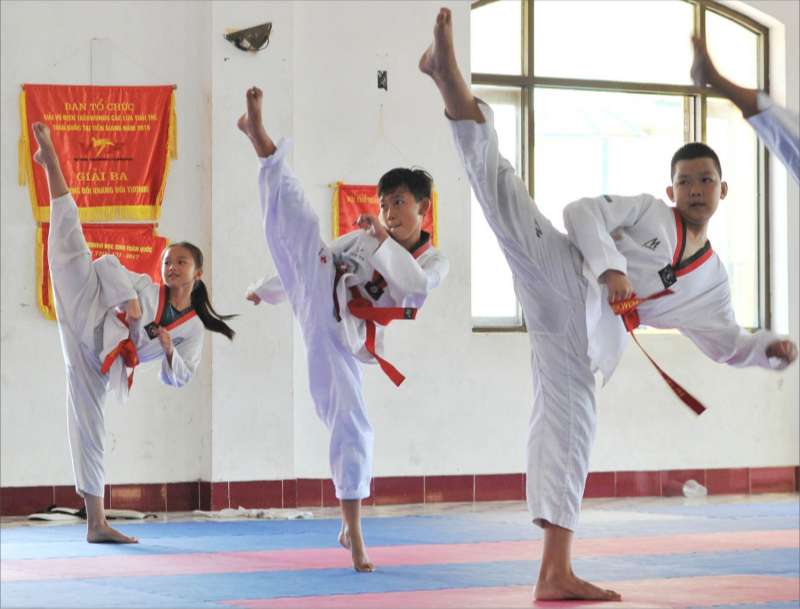 tìm  hiểu các loại võ thuật đang có tại Việt Nam